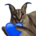floppaBheart floppaBheart