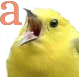 wasa