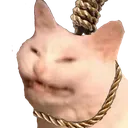 h_SneezeKMS