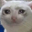 sadmarw Discord Emoji