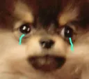 sad_yeontan Discord Emoji