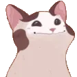 PopCat