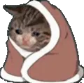 snuggiecry