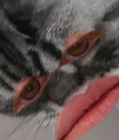 meep Discord emoji