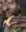 eat