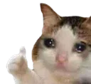 Sadcatthumbsup sadcatthumbsup Discord Emoji