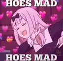 allthehoesmad Discord Emoji