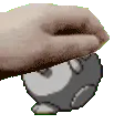 Togepet