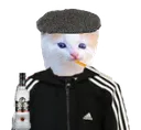 Gopkat Gopkat