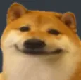 Smileydoge