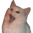 Cat Gasp catgasp Discord Emoji