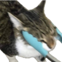 catprongs Discord emoji