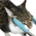 FOCatProngs Discord Emoji