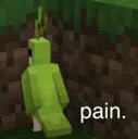 PAIN