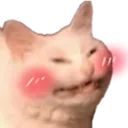 KittenHappy