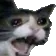 5797_screaming_cat Discord Emoji