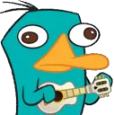 perryguitar