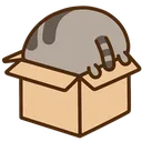 pusheenboxhide