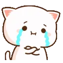 Cry