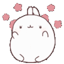 bunny