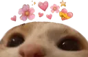 adore_cat Discord Emoji