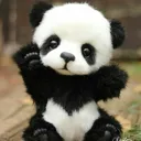 Pandababy Discord Emoji