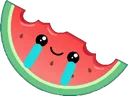 meloncry meloncry