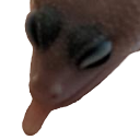 blep Discord emoji
