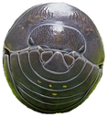 ISOBIG Discord emoji