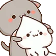SF_CatsBites