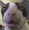 ch_Youremom ch_Youremom