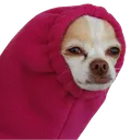 imdeadinside