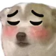 perritouwusad