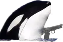orca_armada