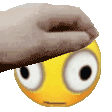 flooshpet