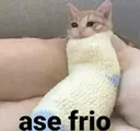 Rs_AngeAseFrio Rs_AngeAseFrio