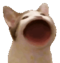 LcoPAPAAAAAAAAAAA Discord emoji