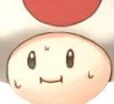 scaredToad scaredToad