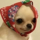 NAOMIE Discord emoji