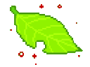 yh_leaf_DNS