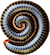 unomasporfavor Discord emoji