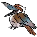 RWkekaburra RWkekaburra