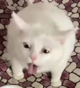java Discord emoji