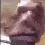 deformed