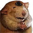 toloPOGGERS