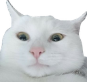 WL_Ace_of_Grey Discord emoji