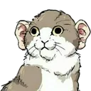CatWithHumanEars