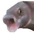 Pogfish PogFish Discord Emoji