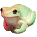 Polite_Frog Polite_Frog