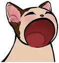 popopcat Discord Emoji